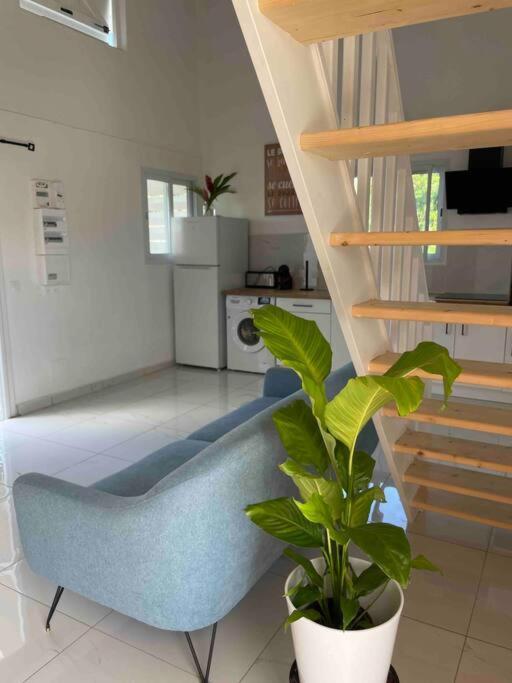 Villa Les Oiseaux D'Amour Sainte-Anne  Kültér fotó